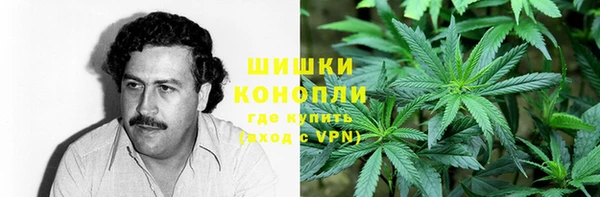 дурь Осташков