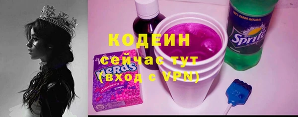 дурь Осташков