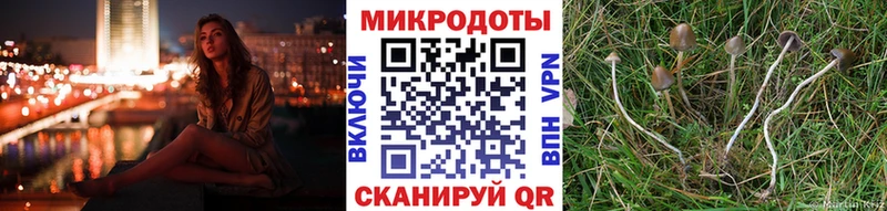 Купить  Сочи  Галлюциногенные грибы MAGIC MUSHROOMS 